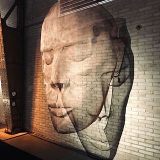 A large face is wall-mounted at an art fair. Wire-Mesh art by David Begbie