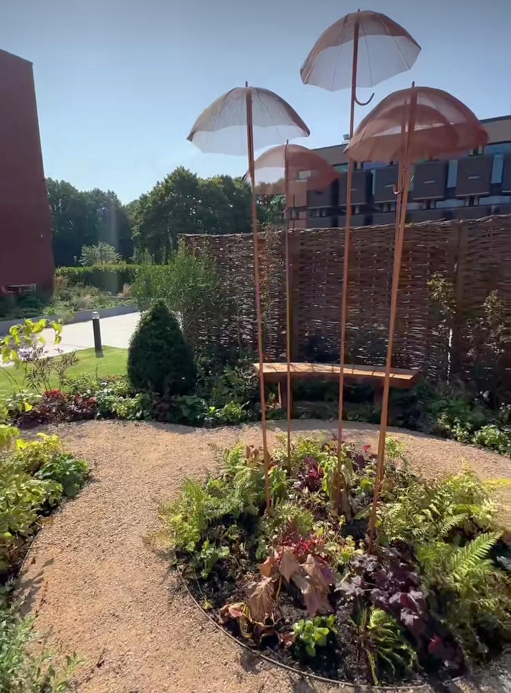 Umbrella sculptures are mounted in a garden design - at the campus of Liverpool University. Sculptor David Begbie for project giving back 2025.