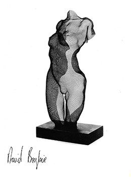 David Begbie Sculpture Catalogue of steelmesh bodies 1984