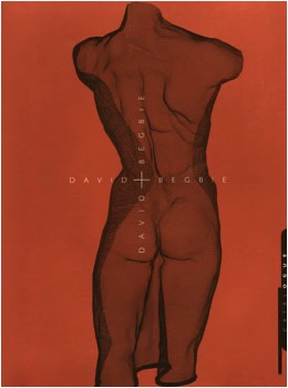 David Begbie 1987-1992 The Phyllis Rapp Mesh Art Collection