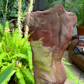 A human figure made from copper-painted wire in front of a farn plant