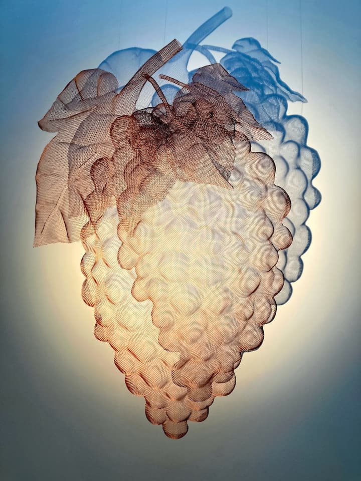 A wire-sculpture of a grape-vine by artist David Begbie