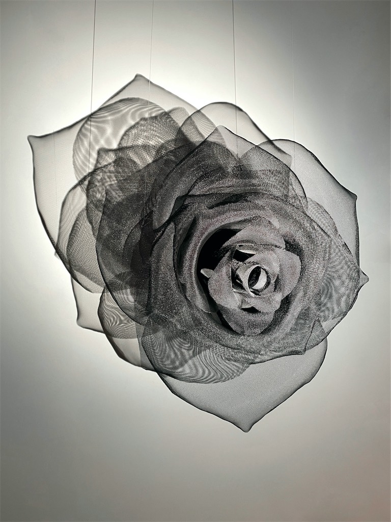 DARCROSE 2022 david begbie sculpture 1254e q