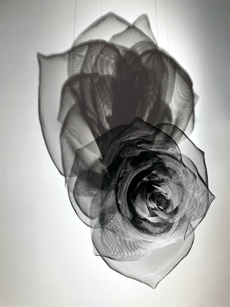 DARCROSE 2022 david begbie sculpture 1263e q