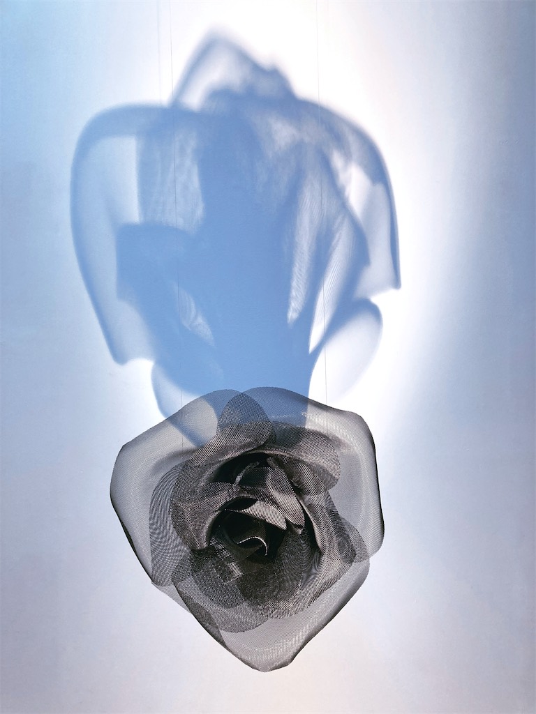 darkrose 2023 david begbie sculpture 9317e q