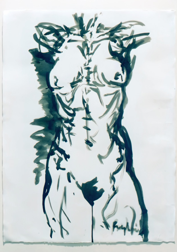 Ink drawing of a female torso by David Begbie